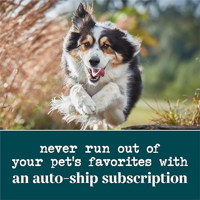 by Purina Digestion Dog Supplements Soft Chews - 10.6 oz. Canister