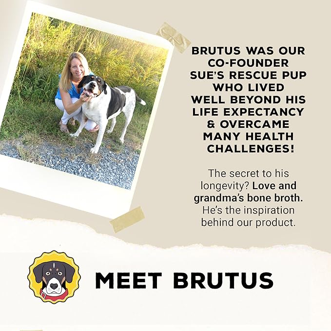Brutus Broth Instant On The Go Vegetable Powder for Dogs - Vegetable Powder with Omegas 3, 6 & 9 & Turmeric - Human Grade Dog Food Toppers for Dry Food & Picky Eaters - 5 Stick (Salmon Flavor)