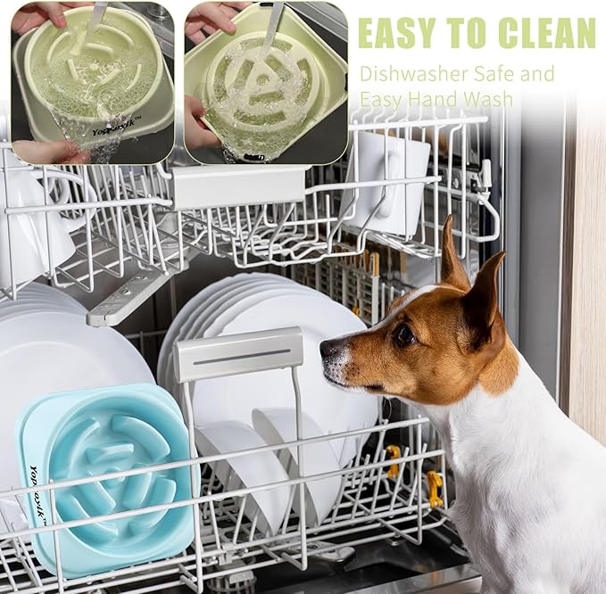 2 Pack Slow Feeder Dog Bowls for Healthy Eating, Non-Slip and Anti-Choking Design, Reduces Bloating & Overeating for Small & Medium Dogs and Cats, Easy to Clean