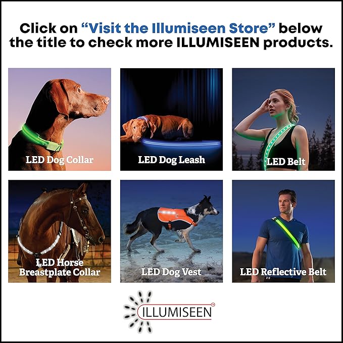 Illumiseen LED Dog Collar USB Rechargeable - Bright & High Visibility Lighted Glow Collar for Pet Night Walking - Weatherproof, in 6 Colors & 6 Sizes (Orange Medium)