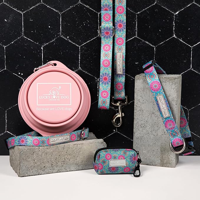 Lucky Love Dog, Boho Chic Martingale Dog Collar for Girl Boy Dogs, Premium No Slip Collar, Vivid Pink and Turquoise Martingale Collar for Dogs (Small, Clara Mart)