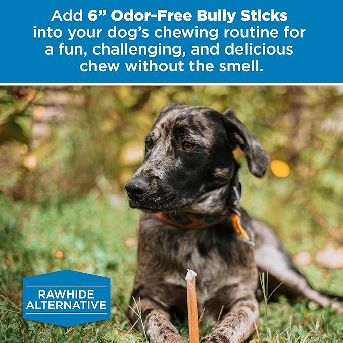 Best Bully Sticks 6 Inch Odor Free Bully Sticks for Dogs, 20 Pack, Bulk Bag 100% Natural Grass-Fed Beef, Easily Digestible Bully Bones Grain and Rawhide Free Odorless Dog Bully Sticks for Large Dogs