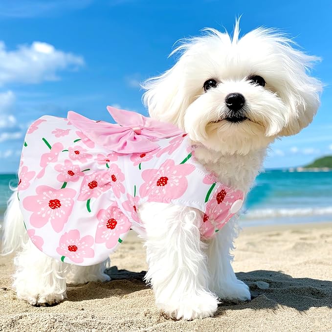 choyaxo Floral Dog Dress Cute Dog Skirt Pet Dress Summer Pet Clothes for Puppy Small Cats,S