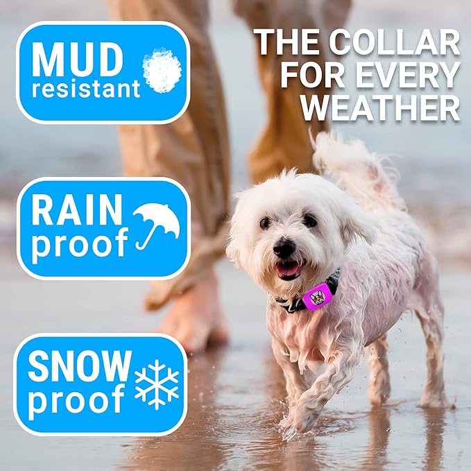 Small Dog Bark Collar Rechargeable - Smallest Bark Collar for Small Dogs 5-15lbs - Most Humane Stop Barking Collar - Dog Training No Shock Anti Bark Collar - Pet Bark Control Device (Pink)