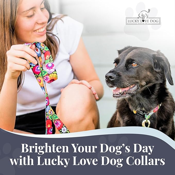 Lucky Love Dog - Easy Click Buckle Dog Collar with Leash Set Combo, Durable & Comfortable Collar for Male & Female Dogs, Pet Collar for Small to Large Dogs, Secure Fit - Blackbird Combo, X-Small