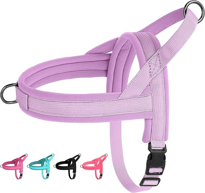 Beirui No Pull Dog Harness for Small Medium Dogs Puppies, Soft Neoprene Quick Fit Harness with Durable Front Clip & Back Clip, Lightweight Easy for Daily Walking (Purple,XS)