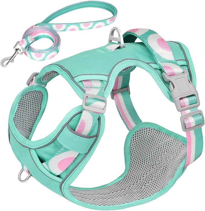 No Pull Dog Harness and Leash Set,Reflective Dog Harness with Easy Control Soft Handle,Adjustable and Comfortable for Easy Walking,Fit Small Medium Large Breed Dogs,Blue,S