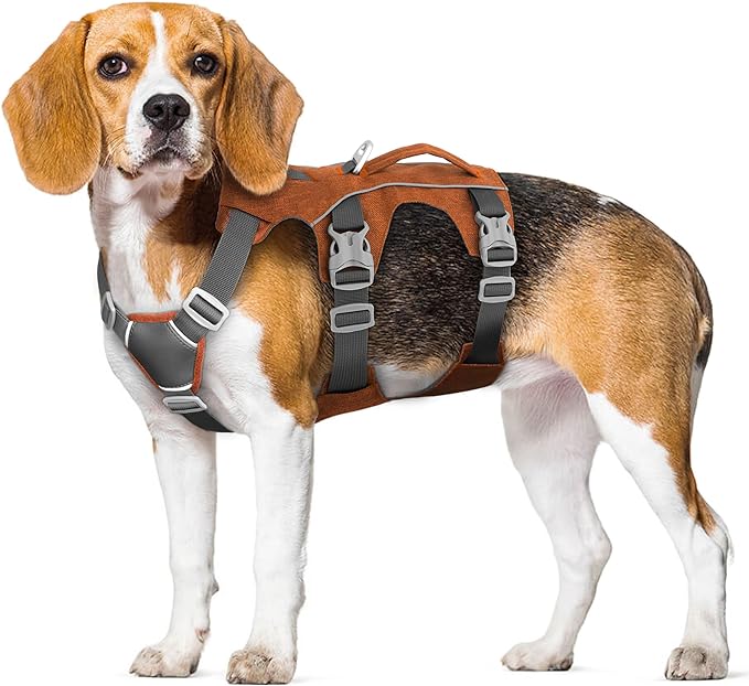 Dog Harness Medium Sized Dog Escape Proof Dog Harness with Handle, Reflective Dog Vest, Breathable Soft Full Body Pet Harness for Walking, Training (Orange, M)