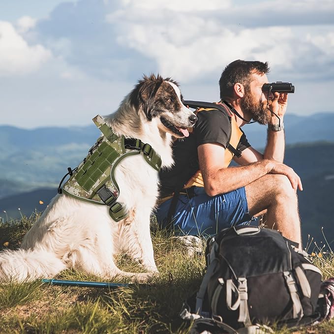 WINGOIN Tactical Dog Harness for Extra Large Dogs, Heavy Duty No Pull Dog Harness with Handle, Adjustable Reflective Military K9 German Shepherd Big Dog Vest for Training, Walking, Green Camo(XL)