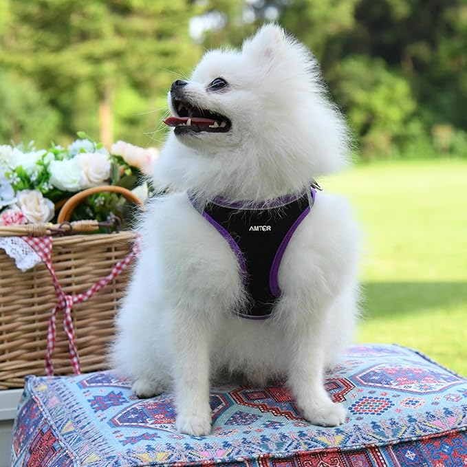 AMTOR Small Dog Harness with Leash Set, No Escape Easy Walk Puppy Harnesses for Training Walking, Step-in Reflective Soft Dogs Vest for XS S Medium Extra-Small Large Sized Dog(Black/Purple)