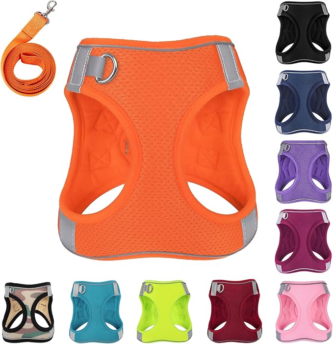 Dog Harness with Leash Set, No-Pull Step-in Reflective Pet Harness with 1 Leash Clips, Adjustable Soft Padded Easy Walk Dog Vest for Small Medium Large Dogs, Cats(Bright Orange, XXXSmall)