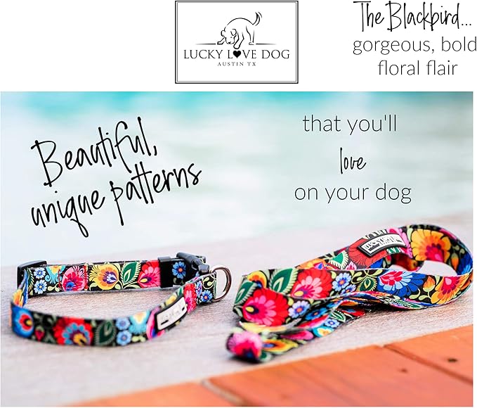 Lucky Love Dog Wide Dog Collar - Adjustable, Durable, Soft Webbing, & Comfortable 1.5 inch Wide Collar for Dogs Male and Female - in Blackbird Pattern with Strong Buckle, X-Large Size