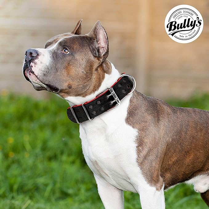 Pit Bull Collar, Dog Collar for Large Dogs, Heavy Duty Nylon, Stainless Steel Hardware (Large, Army Green)