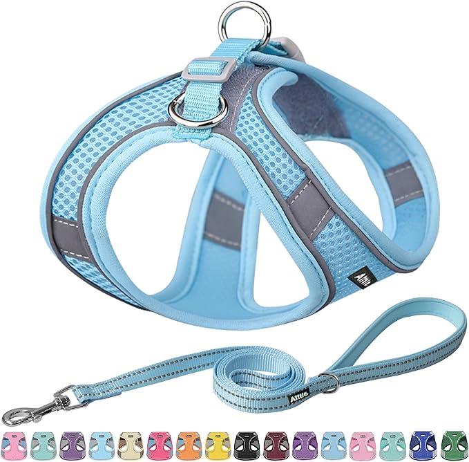 AIITLE Small Harness for Puppy with A Leash - Spring Dog Vest Harness with Super Breathable Mesh, Reflective No-Pull Pet Harness for Outdoor Walking, Camping for Small Dogs, Cats Pure Blue XXS