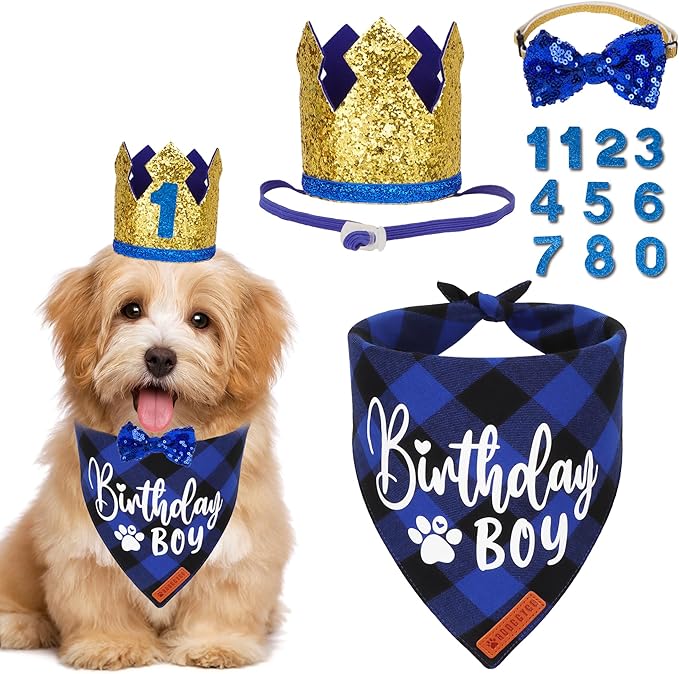 ADOGGYGO Dog Birthday Party Supplies, Blue Plaid Birthday Boy Dog Bandana, Golden Puppy Party Hat with Numbers, Bowtie for Small Puppies (Small)