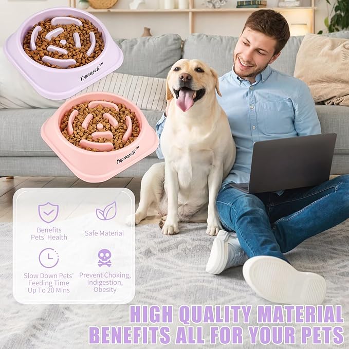 2 Pack Slow Feeder Dog Bowls for Healthy Eating, Non-Slip and Anti-Choking Design, Reduces Bloating & Overeating for Small & Medium Dogs and Cats, Easy to Clean