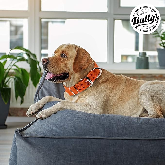 Pit Bull Collar, Dog Collar for Large Dogs, Heavy Duty Nylon, Stainless Steel Hardware (Medium, Orange Juice)