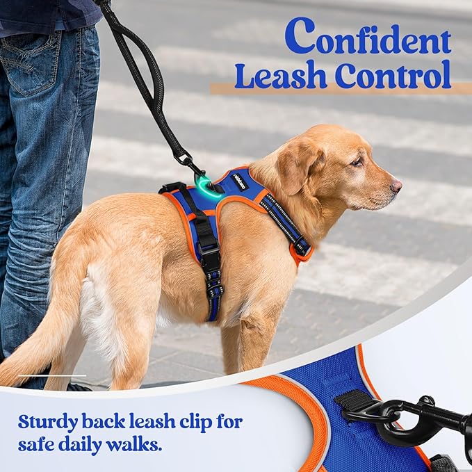 rabbitgoo Dog Harness, No-Pull Pet Harness with 2 Leash Clips, Adjustable Soft Padded Dog Vest, Reflective No-Choke Pet Oxford Vest with Easy Control Handle for Large Dogs, Blue & Orange, XL