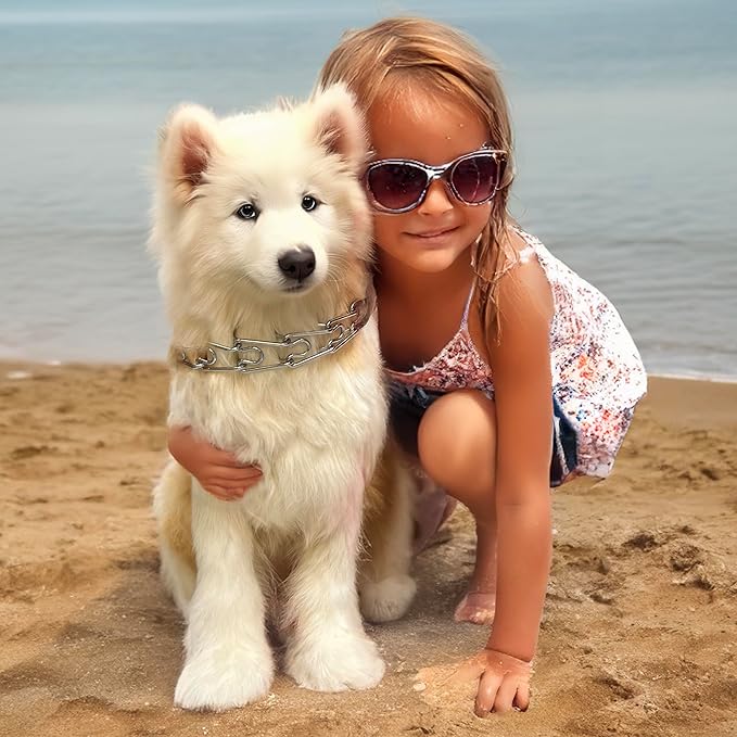 Silver Prong Pinch Dog Collar, No Pull Dog Collar Adjustable Quick Release Dog Training Collar with Quick Release Buckle for Small Medium Large Dogs (Silver, M)