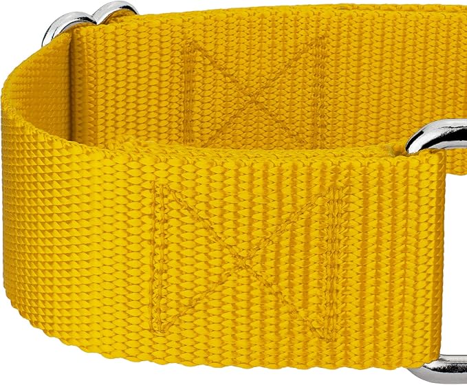 Country Brook Petz 1 1/2 Inch Martingale Heavy Duty Nylon Adjustable Dog Collar for Small, Medium, Large Breeds - Vibrant 17 Color Selection (Gold, Extra Large)