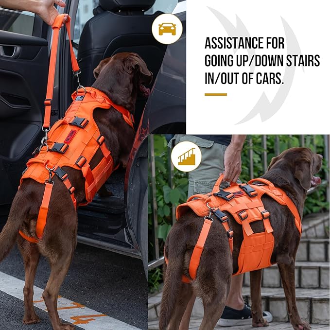 OneTigris Dog Lift Harness for Large Dogs, Dog Hip Support Brace, Full Body Dog Lifter with Handles Invictus Multifunctional Mobility Assistance Vest for Back Legs