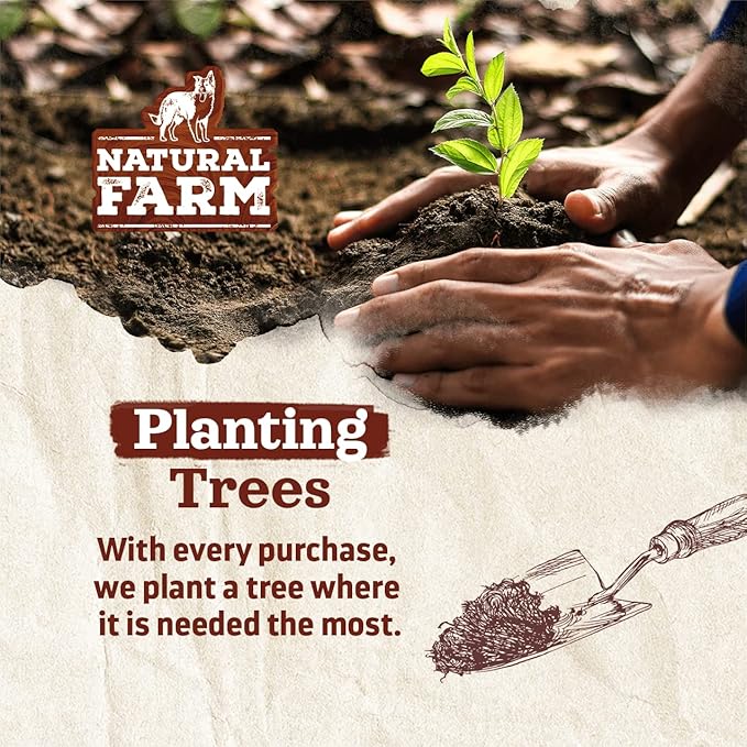 Natural Farm Smoked Beef Shin Bones (3 Pack), 100% Natural Beef Dog Bones, High in Minerals & Vitamins, Mental Stimulation, Grain-Free Long-Lasting Bones for Large and Medium Dogs