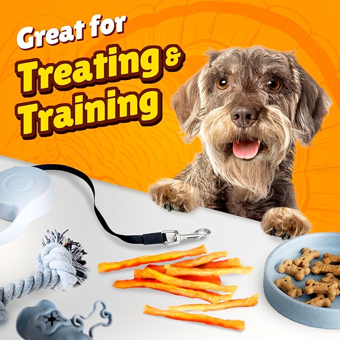 Gootoe Soft Turkey Tendon Dog Treat– Natural Chewy Snack, 100% USA-Sourced, Premium Training Chew, Reseal Value Bag, Ideal for Small & Senior Dogs, Soft Strip with Pumpkin Jumbo Pack, 1 lb (Pack of 1)