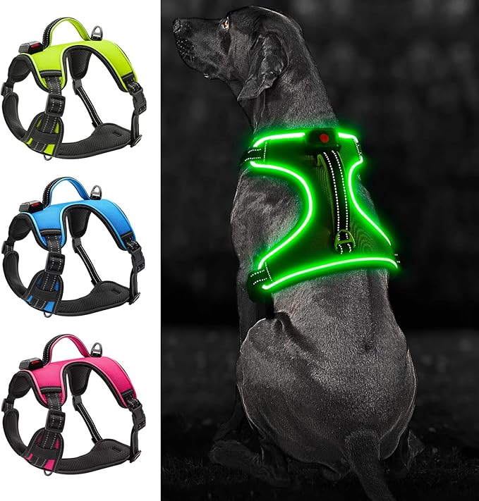 Light Up Dog Harness No-Pull LED Dog Harness with Handle Rechargeable Lighted Dog Vest Harness Dog Harness for X-Small/Small/Medium/Large/X-Large Size (Green, L)