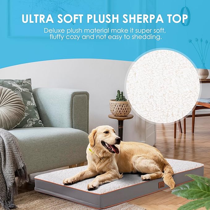 Orthopedic Dog Bed for Large Dogs and Extra Large Dogs, XL Dog Bed with Removable Waterproof Cover and Machine Washable, Pet Bed Mat Egg-Crate Foam, L-Plus(36"X27"X3"), Light Grey