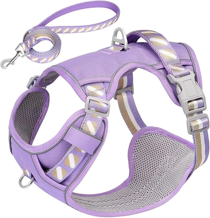 No Pull Dog Harness and Leash Set,Reflective Dog Harness with Easy Control Soft Handle,Adjustable and Comfortable for Easy Walking,Fit Small Medium Large Breed Dogs,Purple,S