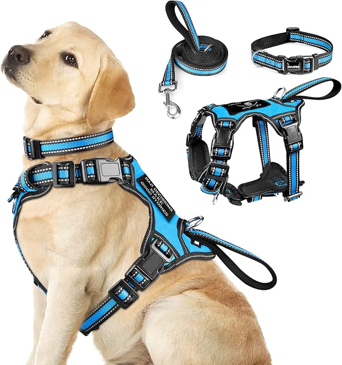 WINSEE Pet Harness Collar and Leash Set, All-in-one Reflective Dog Harness No Pull with Adjustable Buckles for Puppies, Small, Medium, Large, and Extra-Large Dogs (Large, Blue)
