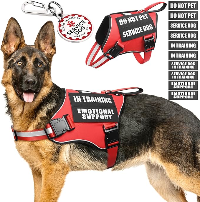 Service Dog Vest Harness+ID Tag+10 Patches,Metal Serivce Dog Tag&Reflective Emotional Support Dog Vest with Handle for Large Dogs,Easy Put On/Off for Training/Walking/Everyday Red XL