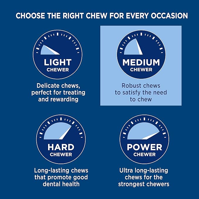 Barkworthies Odor-Free 12-inch Bully Sticks (3 Pack) - Healthy Dog Chews - Protein-Packed, Easily digestible, All-Natural Rawhide Alternative Dog Treats - Promotes Dental Health