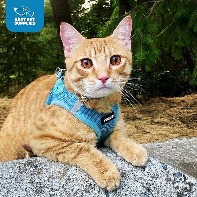 Voyager Step-in Air Dog Harness - All Weather Mesh, Reflective, No Pull Harness for Small, Medium Dogs, Cats - Secure with Hook & Loop Fastener, Buckle, Double D-Rings - Baby Blue, XS