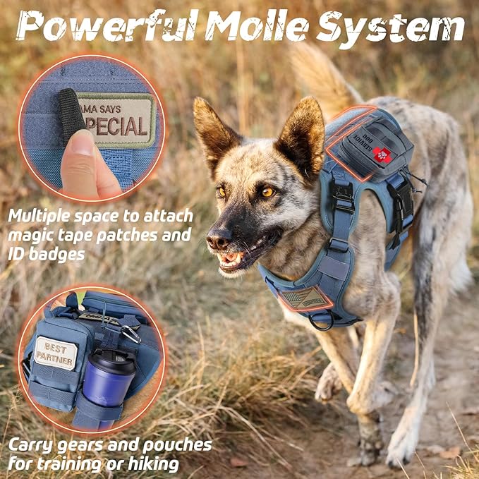 rabbitgoo Tactical Dog Harness for Large Dogs, Heavy Duty Dog Harness with Handle, No-Pull Service Dog Vest Large Breed, Adjustable Military Dog Vest Harness for Training Hunting Walking, Blue, XL