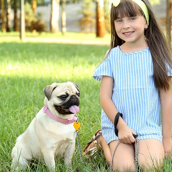 Frienda 48 Pcs Blank Pet ID Tag Colorful Aluminum Dog Cat Tags Blank Round Heart Star Bone House Rectangle Tags with Ring Pet ID Tags Pendant with Hole for Pet Dog Cat Name Phone Number, 6 Styles