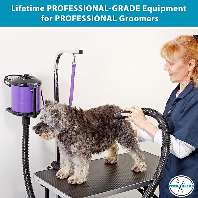 GustyAir Mini Dog Blow Dryer - Professional, Commercial Grade Force Dryer for Groomers - Quiet, High Velocity Air Dryer, Hose Attachments, Variable Speed, No Heating Element - USA Company - Purple