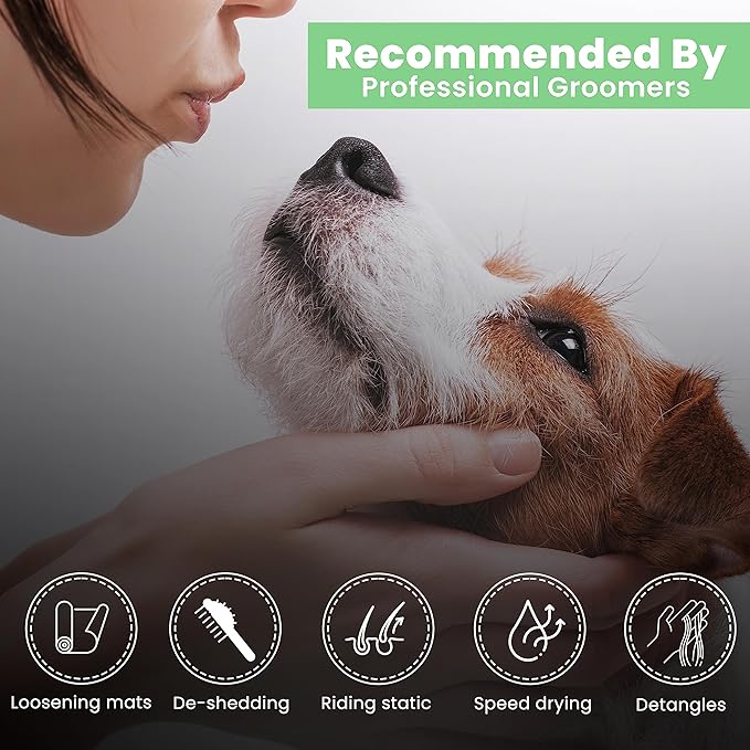 Best Shot Scentament Spa Botanical Body Splash, Body Spray for Pets, Cat and Dog Cologne Spray, Lavender Aloe, 8 Oz.