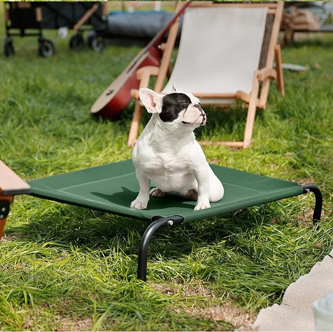Bedsure Medium Elevated Cooling Outdoor Dog Bed - Raised Dog Cots Beds for Medium Dogs, Portable Indoor & Outdoor Pet Hammock Bed with Skid-Resistant Feet, Frame with Breathable Mesh, Green, 43 inches