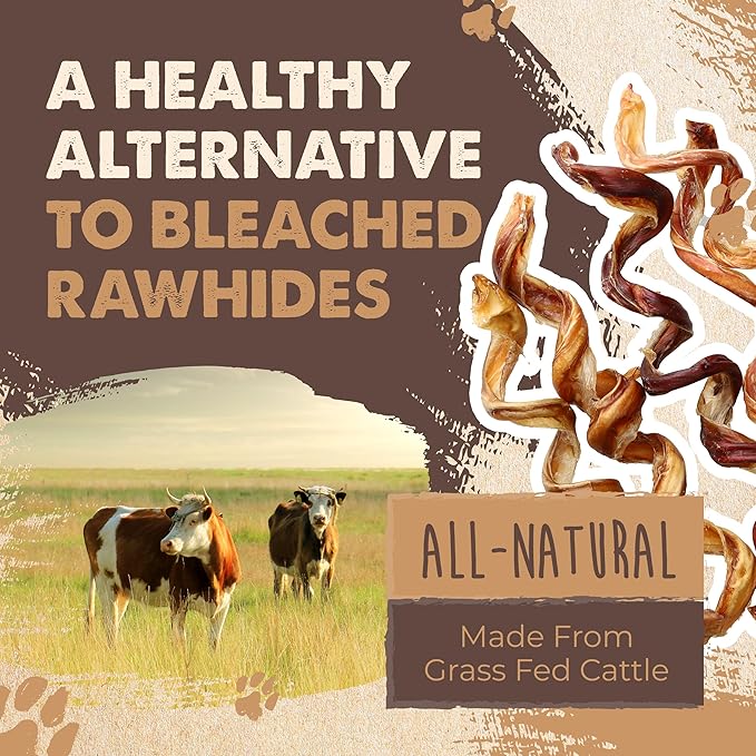 Mighty Paw Naturals Curly Bully Sticks for Dogs - Grass Fed Beef Dog Chews. Dog Bully Sticks for Large Dogs, Medium, Small Breeds. Lower Odor Bully Sticks for Small Dogs. Single Ingredient 6” - 5 Pack