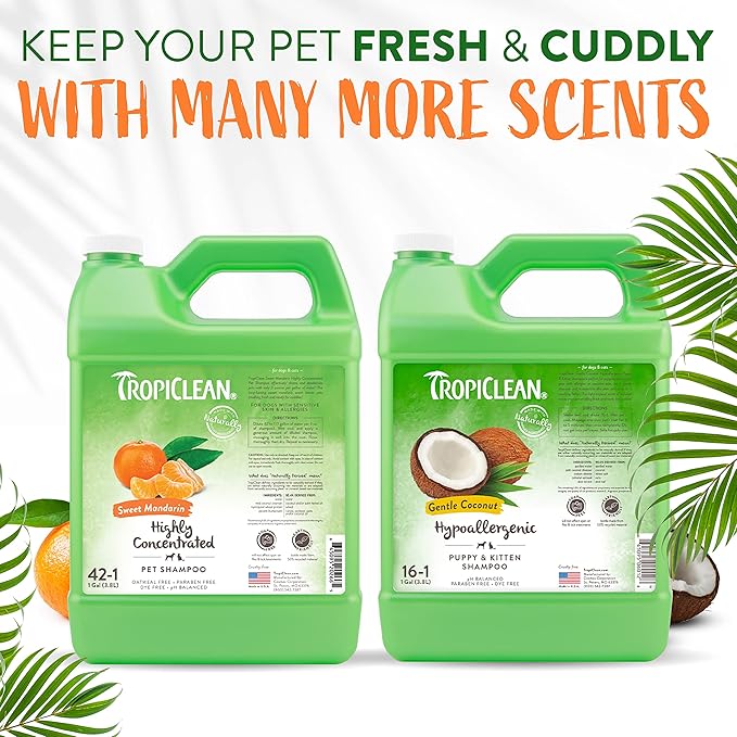 TropiClean High Concentrate Dog Shampoo, Professional Grade & Size for Groomers, 42:1 Dilution, Puppy Safe, USA Made, Sweet Mandarin Scent, 1 Gallon