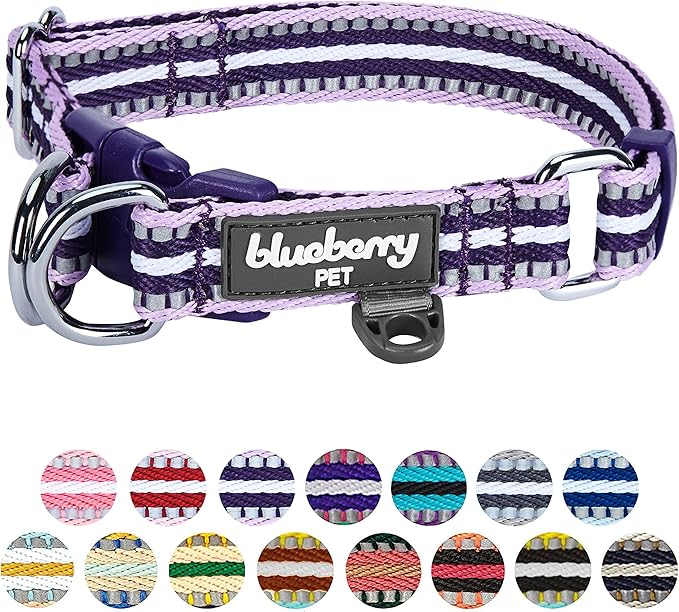 Blueberry Pet 3M Reflective Dog Collars | Adjustable Dog Collar w/Multi-Colored Stripe - Orchid and Lavender | Nylon Pet Collars for Dogs & Refflective Dog Collar for Large Dogs