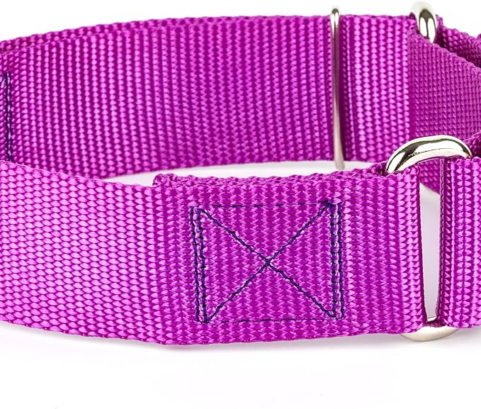 Country Brook Petz - Vibrant 18 Color Selection - 1 1/2 Inch Martingale Heavyduty Nylon Dog Collar (Medium, Bright Purple)