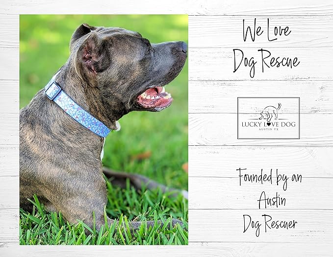 Lucky Love Dog Collar, Cute Winter Dog Collars for Medium Dogs, Blue Snowflake Dog Collar for Male and Female Dogs, Part of Purchase Donated to Dog Rescue - (Winterblue Collar, M)