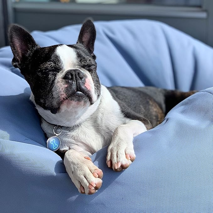 QR Code Dog Tag,Dog Tags Personalized for Pets, Custom Dog Name ID Tags Personalized Dog and Cat Tags -Free Online&Scan QR Receive Instant Location Alert Email