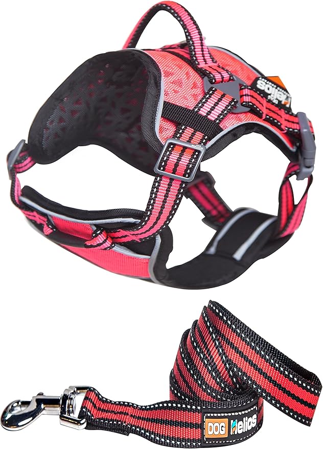 DOGHELIOS 'Journey Wander' Chest Compressive Sporty Adjustable Travel Pet Dog Harness and Leash Combination, Medium, Pink