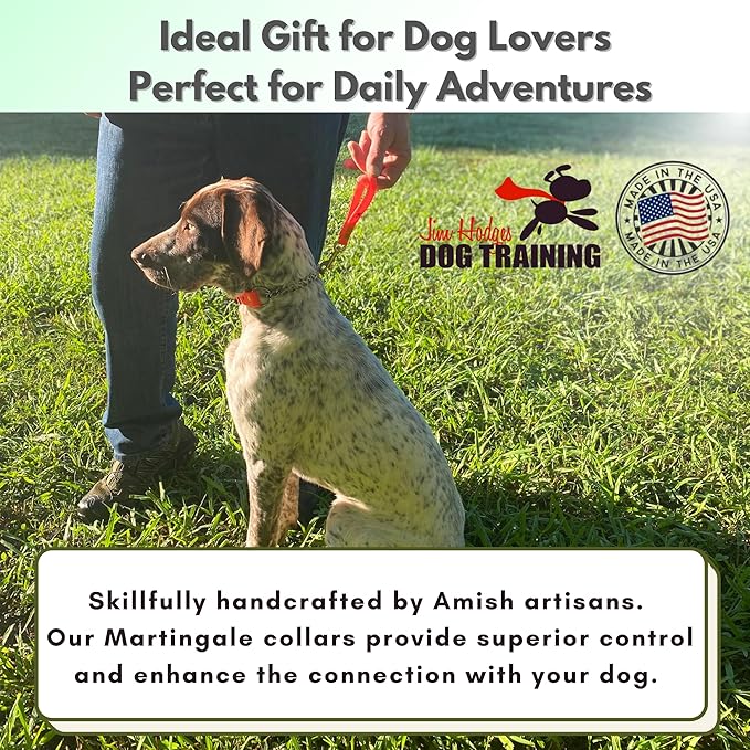 Martingale Collar for Dogs, Biothane, Stainless Steel Hardware, No Pull, Made in The USA, Professional Grade, Large, Orange