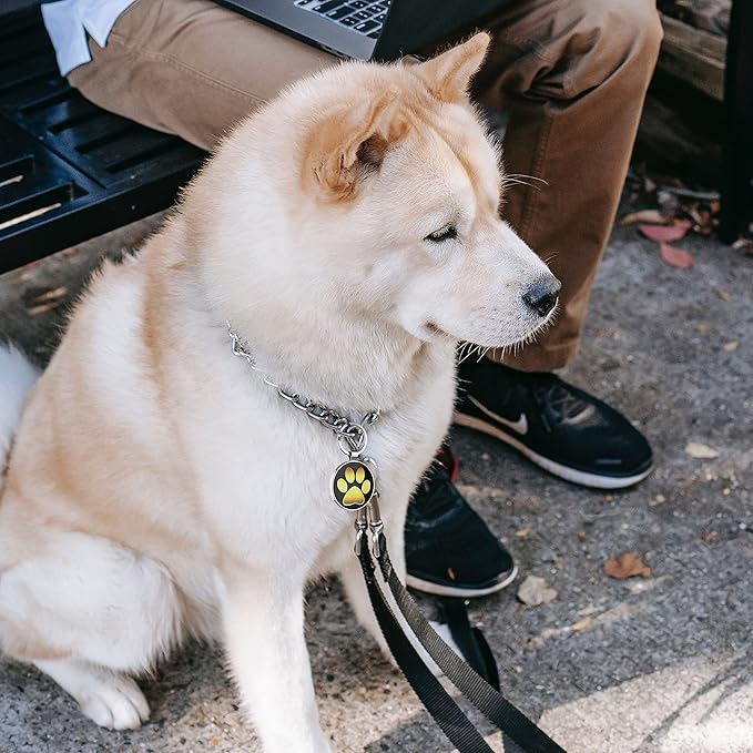 QR Code Dog Tag,Dog Tags Personalized for Pets, Custom Dog Name ID Tags Personalized Dog and Cat Tags -Free Online&Scan QR Receive Instant Location Alert Email