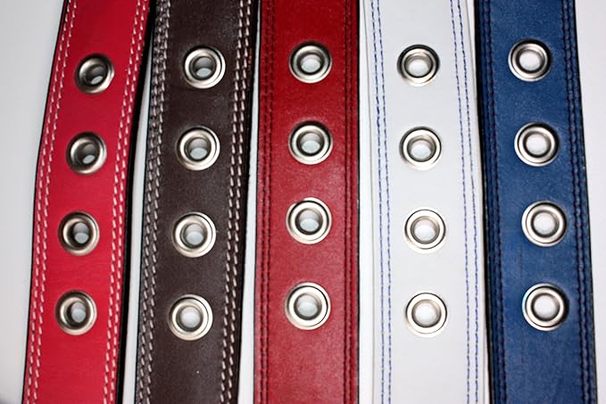 Premium Leather Collars with Stainless Steel Buckles (15"-18", White)