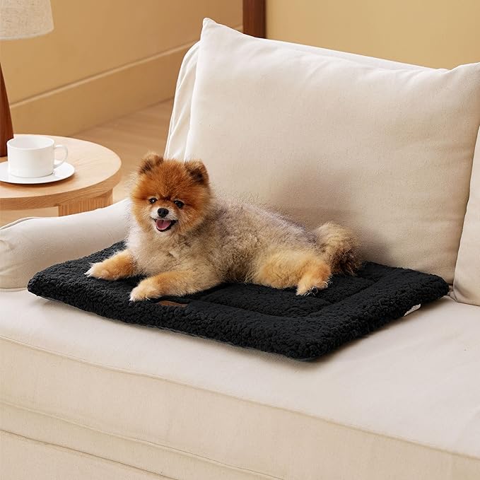 Bedsure Washable Dog Crate Bed for Small Dogs, Reversible Foam Floor Dog Mat, Lightweight Travel Flat Pet Beds for Indoor & Outdoor Dogs (24" x 18", Black)